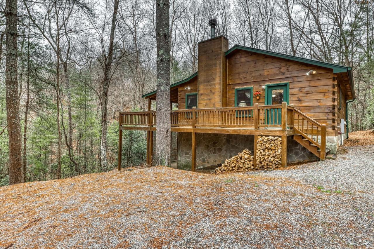 Papa Bear'S Den Vila Blue Ridge Exterior foto